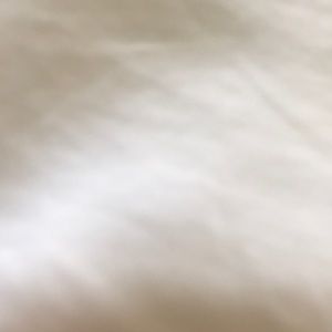 Meet your Posher, Shamsia